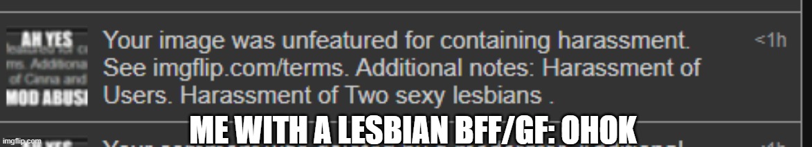 hmm | ME WITH A LESBIAN BFF/GF: OHOK | made w/ Imgflip meme maker