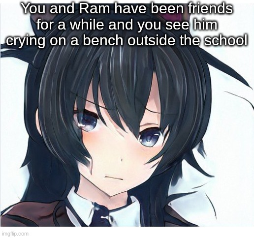 Generic RP |  You and Ram have been friends for a while and you see him crying on a bench outside the school | image tagged in blank white template | made w/ Imgflip meme maker