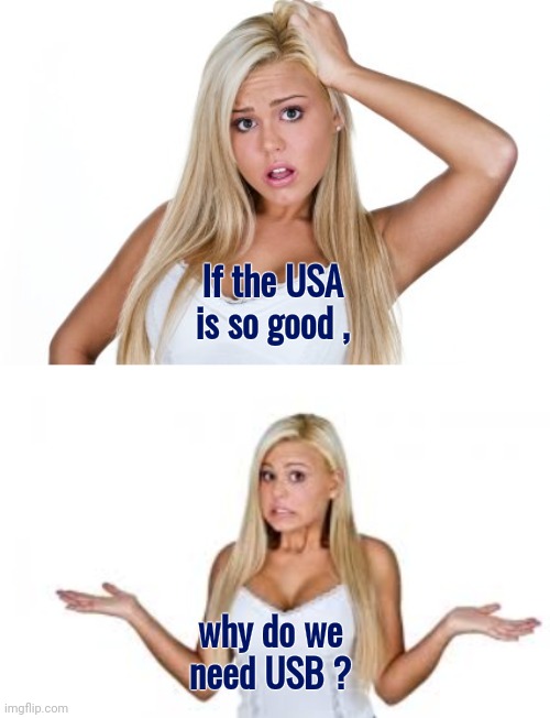 I can charge it with my Charge card | If the USA is so good , why do we need USB ? | image tagged in dumb blonde,usa,usb,they're the same picture,well yes but actually no | made w/ Imgflip meme maker