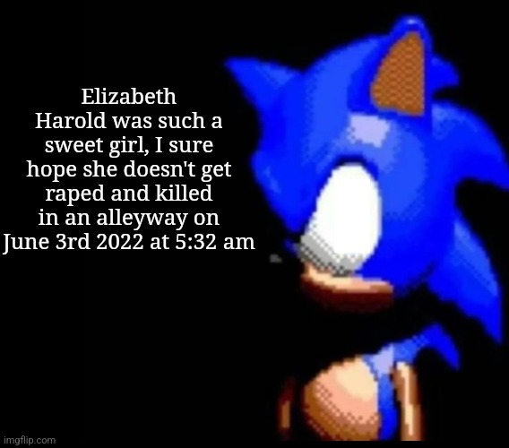 Sonics Biggest fan | Elizabeth Harold was such a sweet girl, I sure hope she doesn't get raped and killed in an alleyway on June 3rd 2022 at 5:32 am | image tagged in sonic stares | made w/ Imgflip meme maker