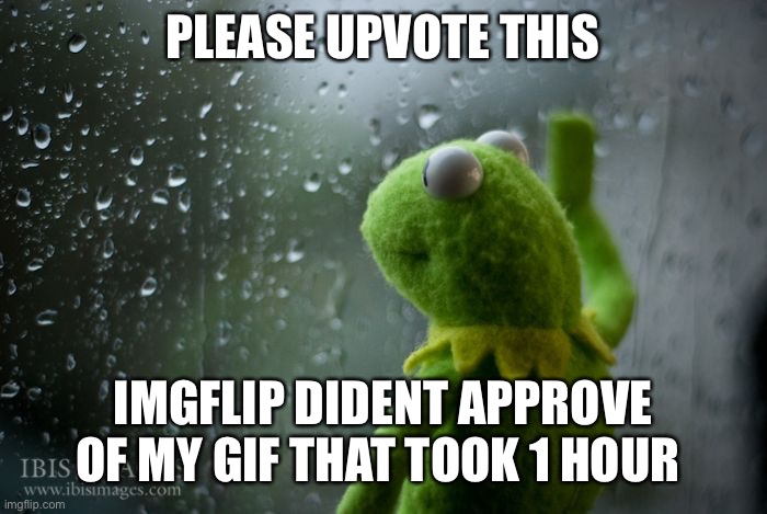 kermit window | PLEASE UPVOTE THIS; IMGFLIP DIDENT APPROVE OF MY GIF THAT TOOK 1 HOUR | image tagged in kermit window | made w/ Imgflip meme maker