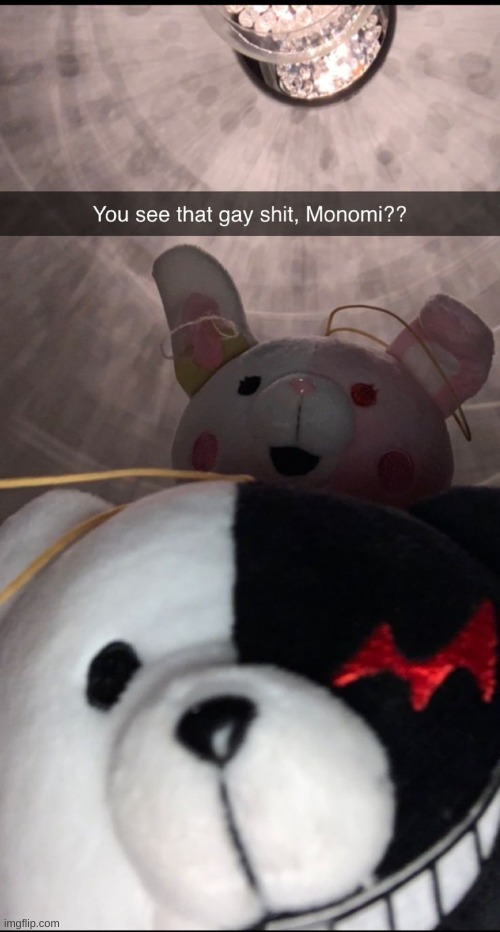 You see that gay shit, Monomi?? | image tagged in you see that gay shit monomi | made w/ Imgflip meme maker
