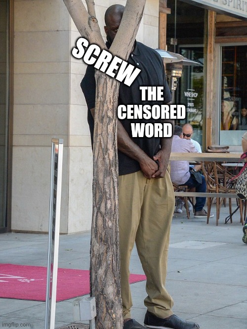 man hiding behind a tree/pole | THE CENSORED WORD SCREW | image tagged in man hiding behind a tree/pole | made w/ Imgflip meme maker