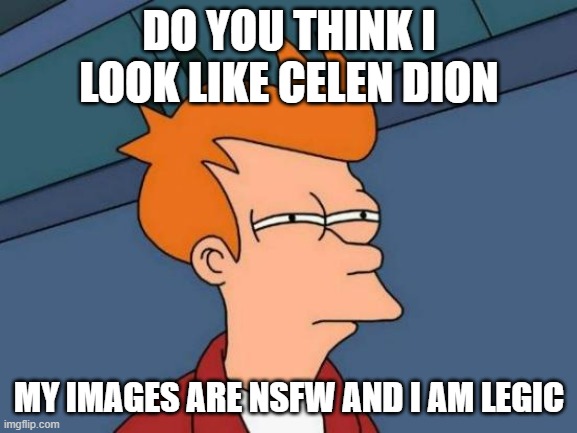 seems legic | DO YOU THINK I LOOK LIKE CELEN DION; MY IMAGES ARE NSFW AND I AM LEGIC | image tagged in memes,futurama fry | made w/ Imgflip meme maker