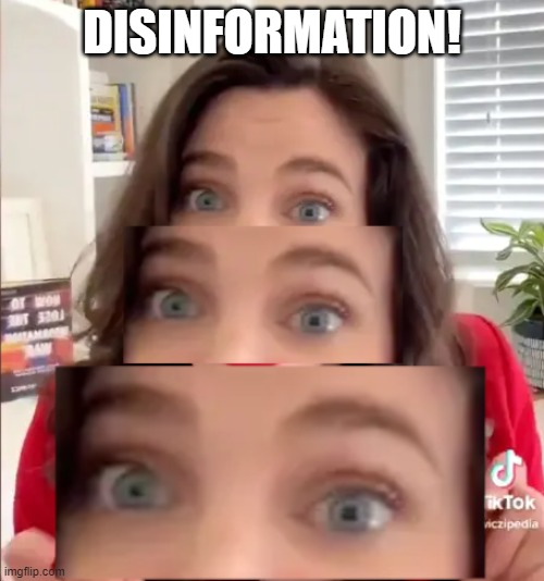 DISINFORMATION! | made w/ Imgflip meme maker