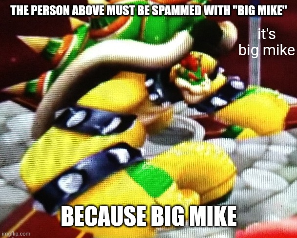 THE PERSON ABOVE MUST BE SPAMMED WITH "BIG MIKE"; BECAUSE BIG MIKE | image tagged in big mike | made w/ Imgflip meme maker