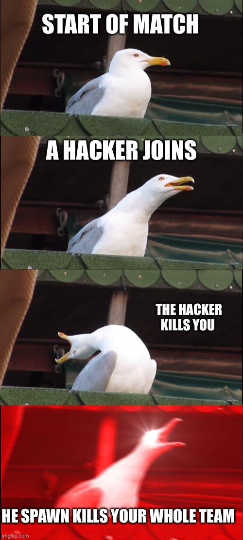 When a hacker joins... |  START OF MATCH; A HACKER JOINS; THE HACKER KILLS YOU; HE SPAWN KILLS YOUR WHOLE TEAM | image tagged in memes,inhaling seagull,hackers,gaming | made w/ Imgflip meme maker