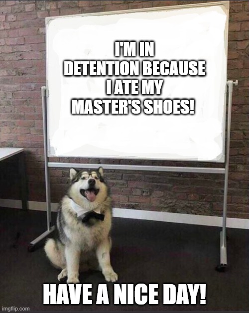 In the Dog House? |  I'M IN DETENTION BECAUSE I ATE MY MASTER'S SHOES! HAVE A NICE DAY! | image tagged in dog white board,detention,dog eats shoes,uh oh,timeout | made w/ Imgflip meme maker