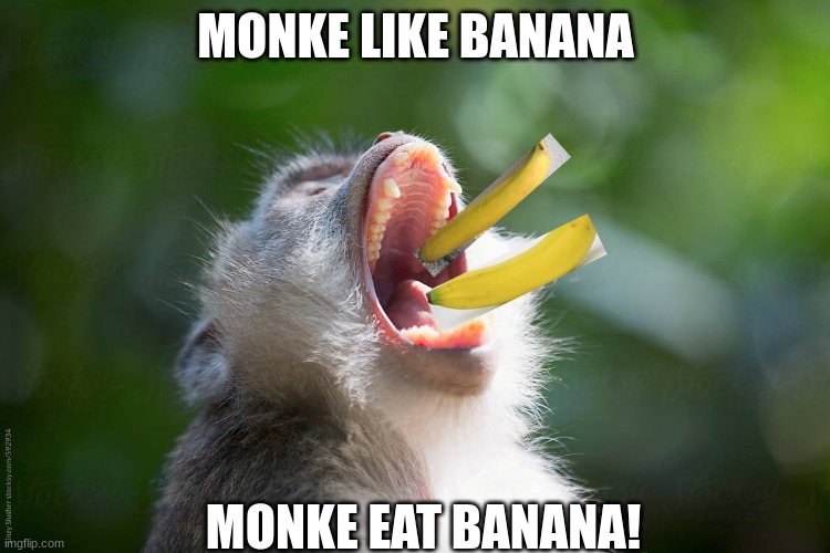 monke like banana | MONKE LIKE BANANA; MONKE EAT BANANA! | image tagged in funny | made w/ Imgflip meme maker