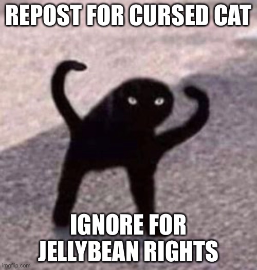 REPOST FOR CURSED CAT; IGNORE FOR JELLYBEAN RIGHTS | made w/ Imgflip meme maker