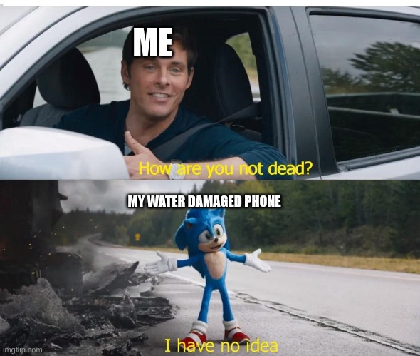 sonic how are you not dead | ME; MY WATER DAMAGED PHONE | image tagged in sonic how are you not dead | made w/ Imgflip meme maker