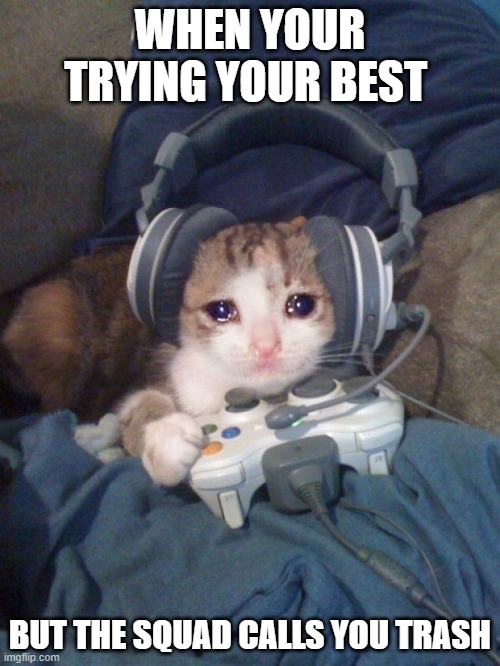 Sad Gamer cat with headphones crying while playing video games |  WHEN YOUR TRYING YOUR BEST; BUT THE SQUAD CALLS YOU TRASH | image tagged in sad gamer cat with headphones crying while playing video games | made w/ Imgflip meme maker