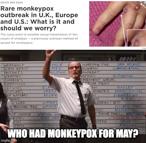 Monkeypox? |  WHO HAD MONKEYPOX FOR MAY? | image tagged in who had,may,2022,news,health,wtf | made w/ Imgflip meme maker