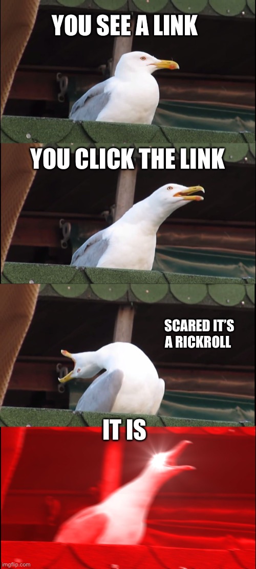 Inhaling Seagull Meme | YOU SEE A LINK; YOU CLICK THE LINK; SCARED IT’S A RICKROLL; IT IS | image tagged in memes,inhaling seagull | made w/ Imgflip meme maker