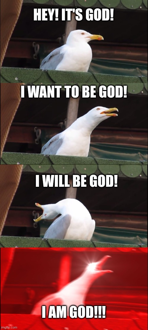 Inhaling Seagull Meme | HEY! IT'S GOD! I WANT TO BE GOD! I WILL BE GOD! I AM GOD!!! | image tagged in memes,inhaling seagull | made w/ Imgflip meme maker