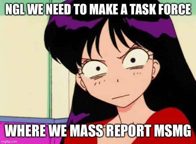 sailor mars stare | NGL WE NEED TO MAKE A TASK FORCE; WHERE WE MASS REPORT MSMG | image tagged in sailor mars stare | made w/ Imgflip meme maker