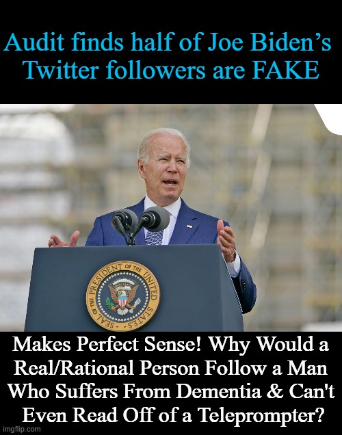 The REAL People Who Follow This Sad Excuse For a President Are The Ones Who Should Check Their Pulse... | Audit finds half of Joe Biden’s 
Twitter followers are FAKE; Makes Perfect Sense! Why Would a 
Real/Rational Person Follow a Man 
Who Suffers From Dementia & Can't 
Even Read Off of a Teleprompter? | image tagged in politics,joe biden,bots,followers,the worst potus ever | made w/ Imgflip meme maker