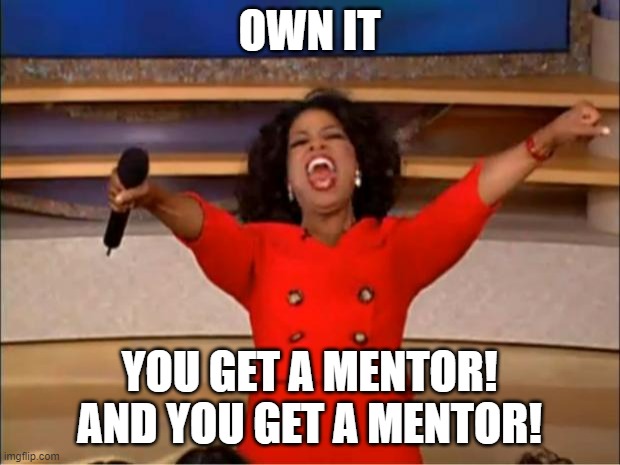 Owning it! | OWN IT; YOU GET A MENTOR! AND YOU GET A MENTOR! | image tagged in memes,oprah you get a | made w/ Imgflip meme maker