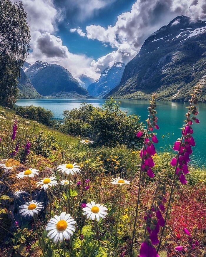 Lovatnet, Norway | image tagged in awesome,pics,photography | made w/ Imgflip meme maker