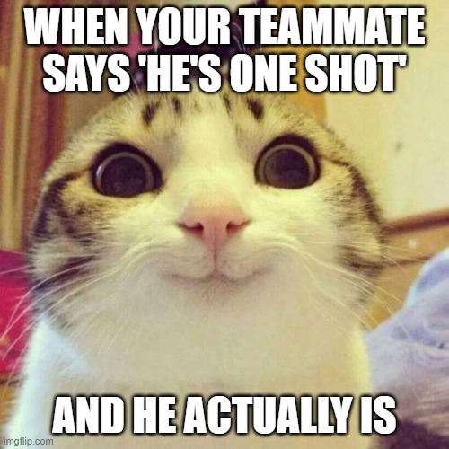 Smiling Cat | WHEN YOUR TEAMMATE SAYS 'HE'S ONE SHOT'; AND HE ACTUALLY IS | image tagged in memes,smiling cat | made w/ Imgflip meme maker