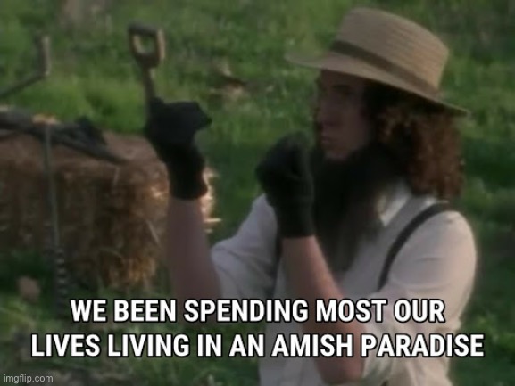 Weird Al Amish Paradise | image tagged in weird al amish paradise | made w/ Imgflip meme maker