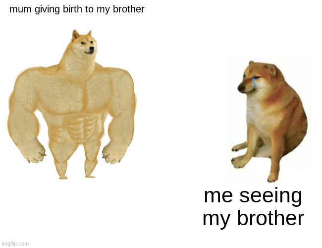 Buff Doge vs. Cheems Meme | mum giving birth to my brother; me seeing my brother | image tagged in memes,buff doge vs cheems | made w/ Imgflip meme maker