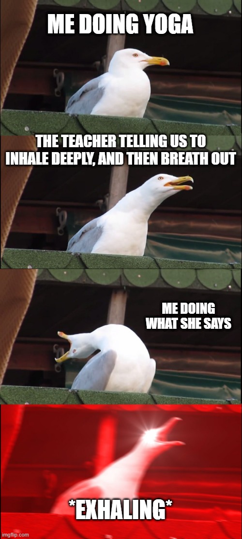 Inhaling Seagull | ME DOING YOGA; THE TEACHER TELLING US TO INHALE DEEPLY, AND THEN BREATH OUT; ME DOING WHAT SHE SAYS; *EXHALING* | image tagged in memes,inhaling seagull | made w/ Imgflip meme maker