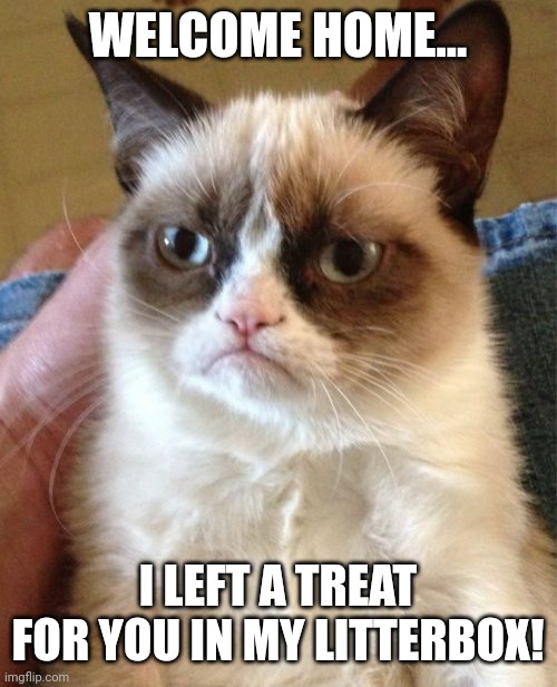 Grumpy Cat Meme | WELCOME HOME... I LEFT A TREAT FOR YOU IN MY LITTERBOX! | image tagged in memes,grumpy cat | made w/ Imgflip meme maker