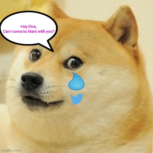 Doge Meme | Hey Elon,
Can I come to Mars with you? | image tagged in memes,doge | made w/ Imgflip meme maker