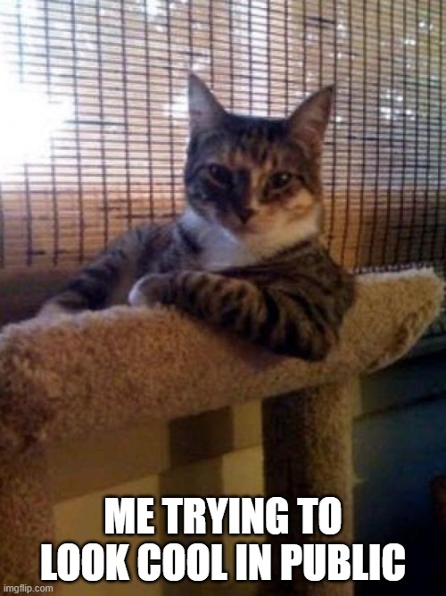 The Most Interesting Cat In The World |  ME TRYING TO LOOK COOL IN PUBLIC | image tagged in memes,the most interesting cat in the world | made w/ Imgflip meme maker