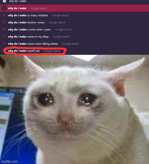 *sniff* | image tagged in sad cat,memes,funny,google search,sad,depression | made w/ Imgflip meme maker