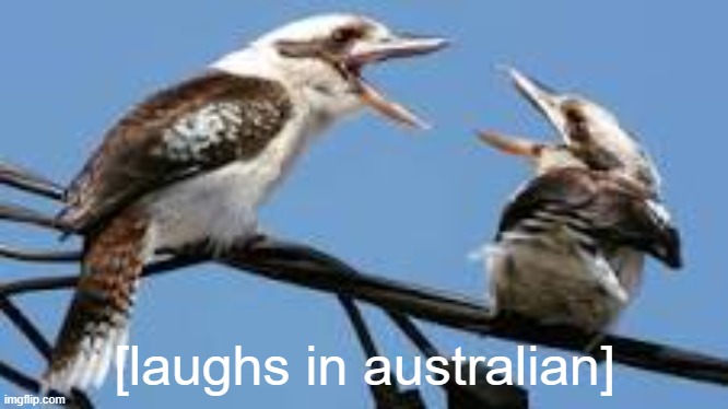 [laughs in australian] | made w/ Imgflip meme maker