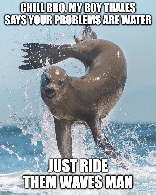 Philosopher Thales says everything is water surfer seal agrees | CHILL BRO, MY BOY THALES SAYS YOUR PROBLEMS ARE WATER; JUST RIDE THEM WAVES MAN | image tagged in seal flipping,seal,thales,everything is water | made w/ Imgflip meme maker