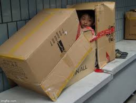 kid cardboard box | image tagged in kid cardboard box | made w/ Imgflip meme maker