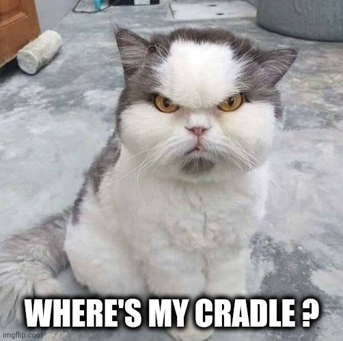 WHERE'S MY CRADLE ? | made w/ Imgflip meme maker