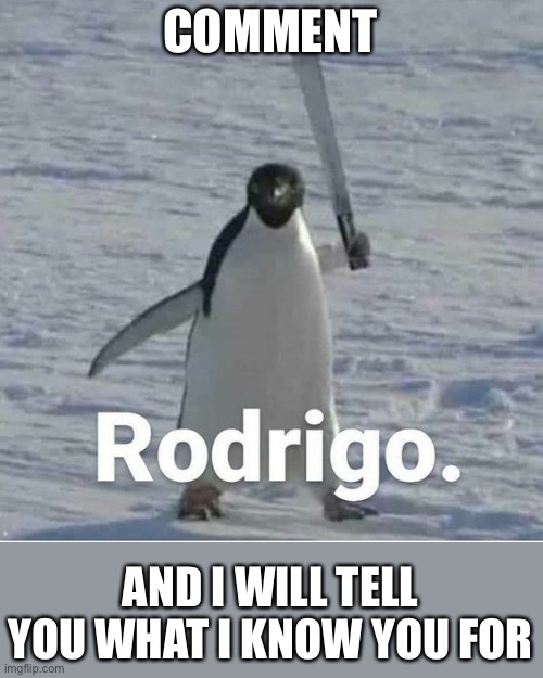 Rodrigo | COMMENT; AND I WILL TELL YOU WHAT I KNOW YOU FOR | image tagged in rodrigo | made w/ Imgflip meme maker