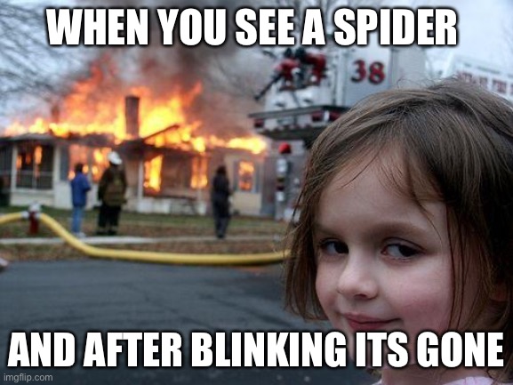 Disaster Girl | WHEN YOU SEE A SPIDER; AND AFTER BLINKING ITS GONE | image tagged in memes,disaster girl | made w/ Imgflip meme maker