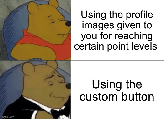 Custom | Using the profile images given to you for reaching certain point levels; Using the custom button | image tagged in memes,tuxedo winnie the pooh | made w/ Imgflip meme maker