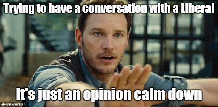 Stay Calm - I'm Right | Trying to have a conversation with a Liberal; It's just an opinion calm down | image tagged in stay calm - i'm right | made w/ Imgflip meme maker