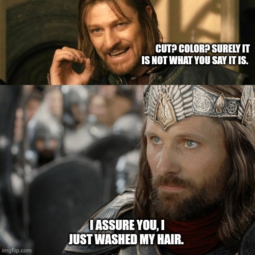 Borohair | CUT? COLOR? SURELY IT IS NOT WHAT YOU SAY IT IS. I ASSURE YOU, I JUST WASHED MY HAIR. | image tagged in hair,lotr,aragorn,boromir | made w/ Imgflip meme maker
