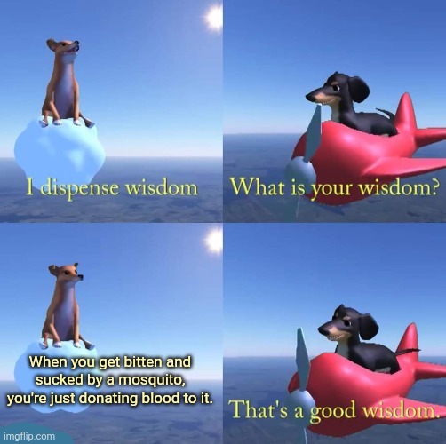 Mosquito |  When you get bitten and sucked by a mosquito, you're just donating blood to it. | image tagged in wisdom dog,that's a good wisdom,mosquito,funny,memes,change my mind | made w/ Imgflip meme maker