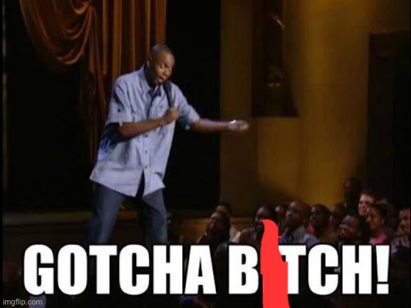 gotcha bitch | image tagged in gotcha bitch | made w/ Imgflip meme maker
