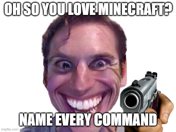 NAME IT ALL. | OH SO YOU LOVE MINECRAFT? NAME EVERY COMMAND | image tagged in you had one job | made w/ Imgflip meme maker