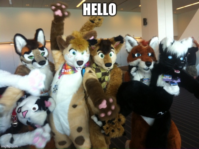 dont make me mod dont make me mod | HELLO | image tagged in furries | made w/ Imgflip meme maker
