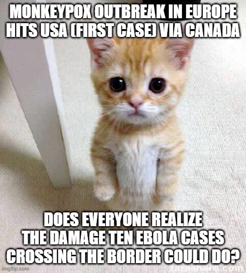 Please shut the door | MONKEYPOX OUTBREAK IN EUROPE HITS USA (FIRST CASE) VIA CANADA; DOES EVERYONE REALIZE THE DAMAGE TEN EBOLA CASES CROSSING THE BORDER COULD DO? | image tagged in memes,cute cat | made w/ Imgflip meme maker