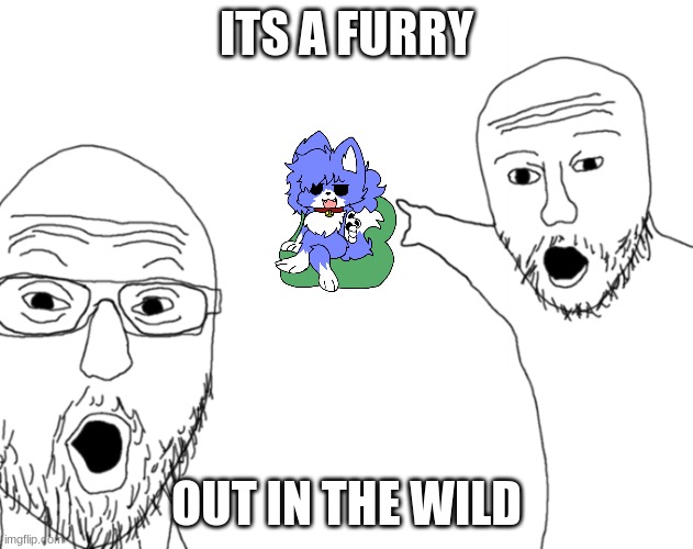 check your local town for furries | ITS A FURRY; OUT IN THE WILD | image tagged in yoooooo | made w/ Imgflip meme maker