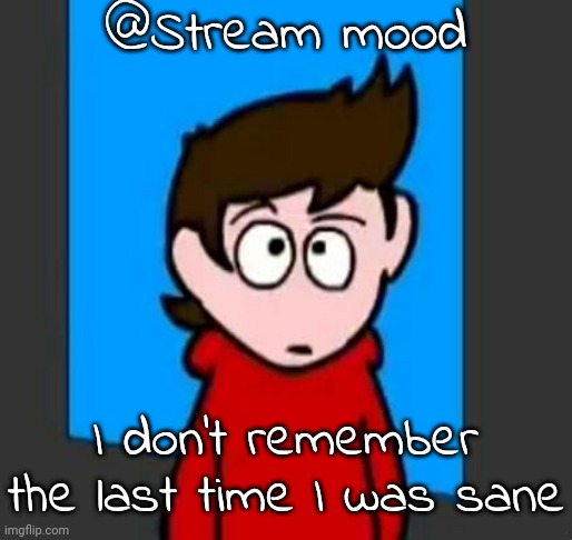 the he | @Stream mood; I don't remember the last time I was sane | image tagged in the he | made w/ Imgflip meme maker