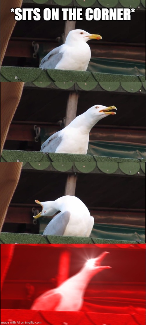 I agree, sitting in corners is fun. | *SITS ON THE CORNER* | image tagged in memes,inhaling seagull,ai meme,weird,random | made w/ Imgflip meme maker
