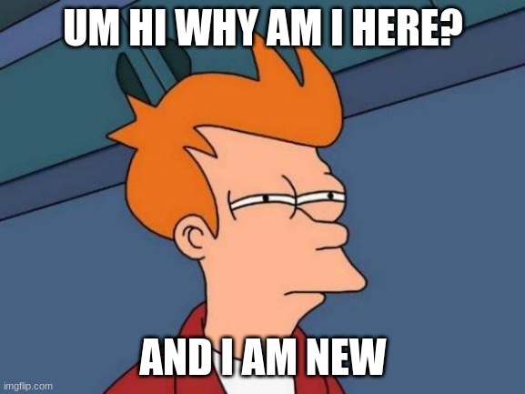Futurama Fry Meme | UM HI WHY AM I HERE? AND I AM NEW | image tagged in memes,futurama fry | made w/ Imgflip meme maker
