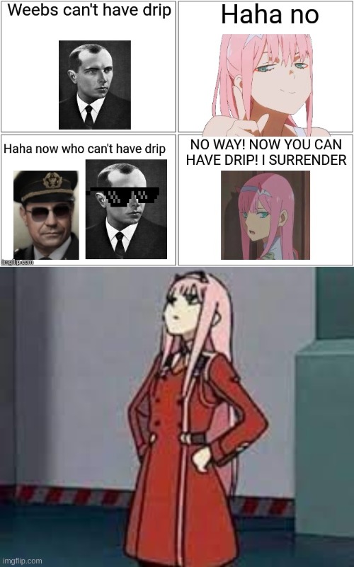 I ADDED THOSE TWO ZERO TWO TEMPS | image tagged in zero two what | made w/ Imgflip meme maker